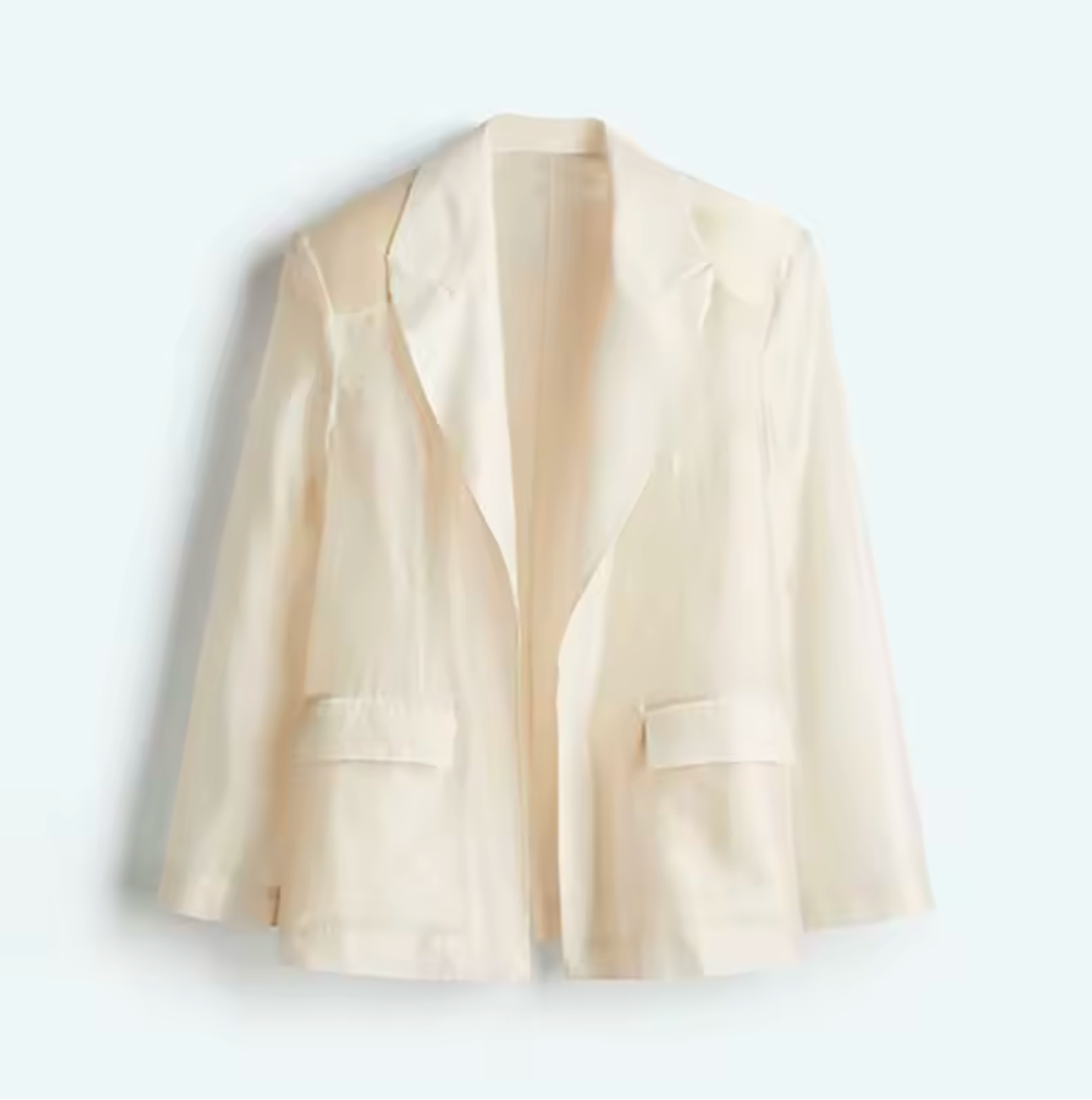 Elizabeth Blazer Sheer Set